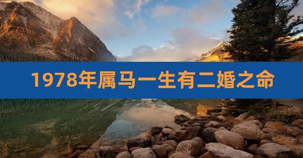 78年属马女一生婚姻