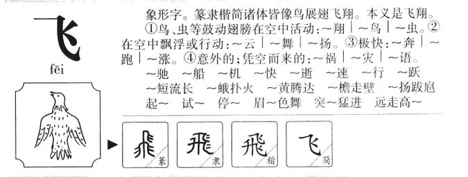 取名飞字有什么寓意