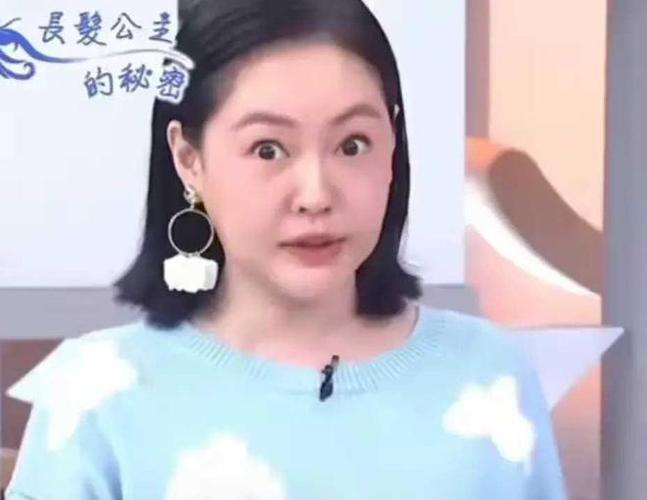 趣谈小s下巴成整容范本