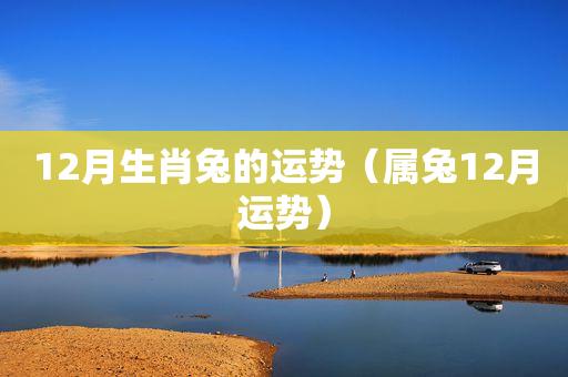 2020年12月30日属兔今日运势及运程详解
