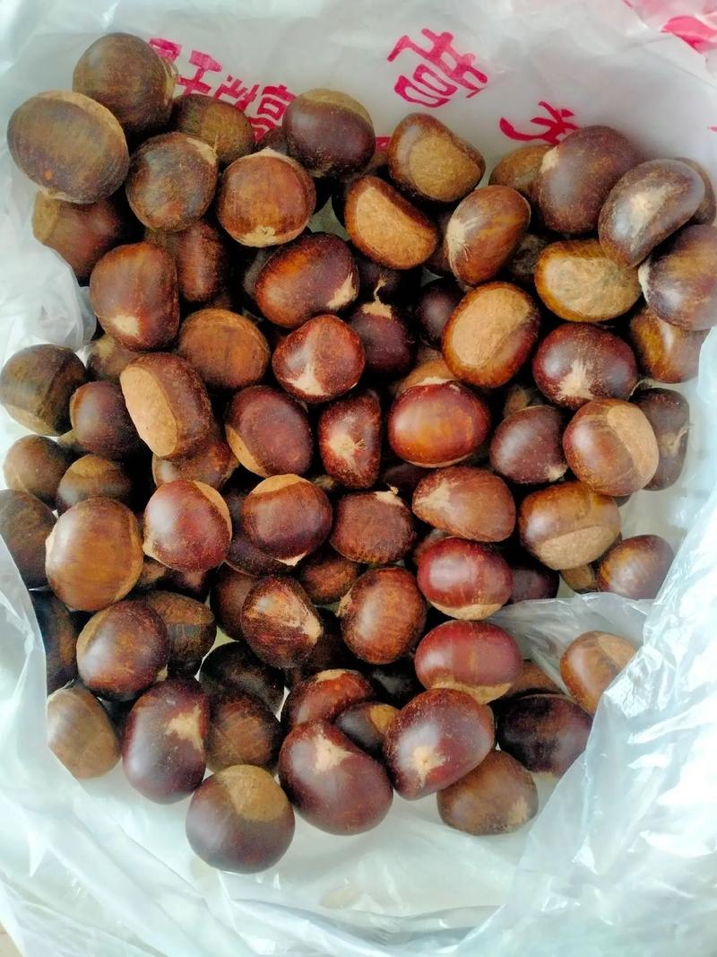 生肖兔如何开心过元月