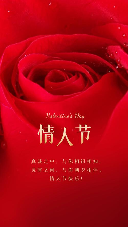 情人节最暖心短句