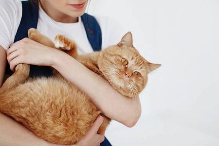 女人梦到猫预示着什么