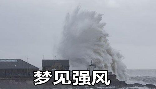 梦见强风