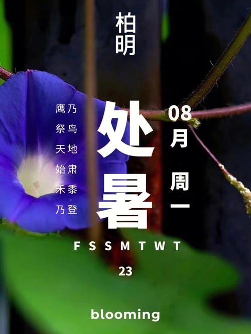 处暑是几月几号?属鸡的人出生在处暑节气这天命运如何?