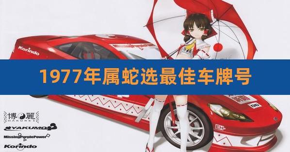 77年属蛇的人宜开的车