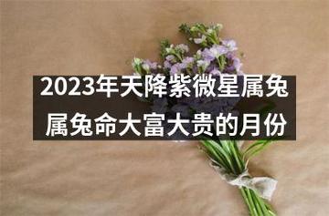 2023年天降紫微星属兔