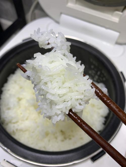 大米饭