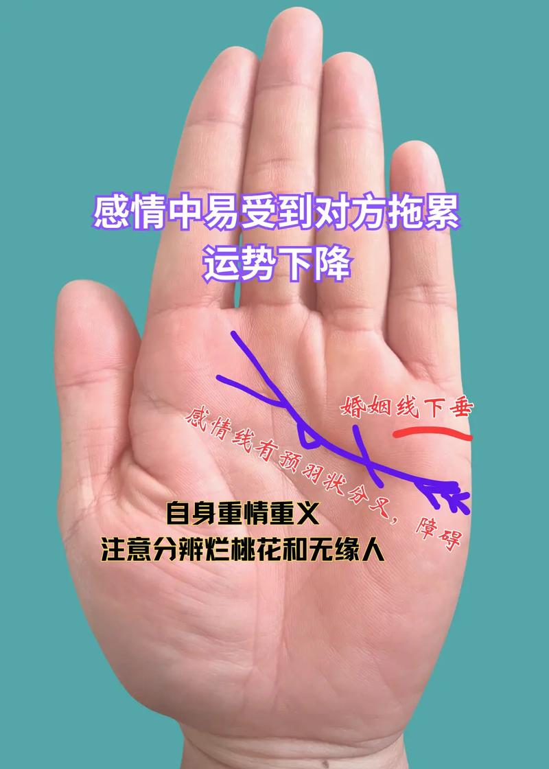 农历十二出生的人智商高吗