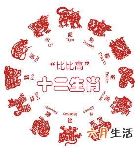 十二生肖之属龙的最佳配偶