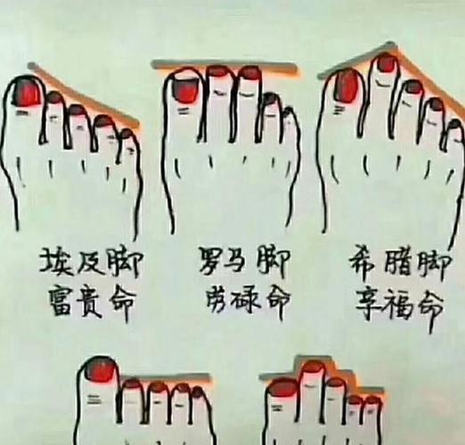 劳碌命的脚相解析