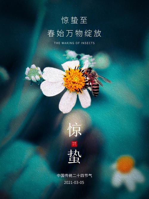 惊蛰节气出生的属猴人是什么命,命格好不好?