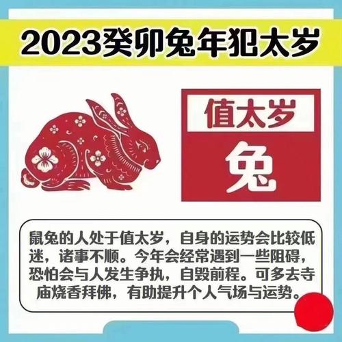 2023年必将生男孩生肖