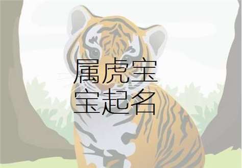 属虎的人生属虎的宝宝好不好