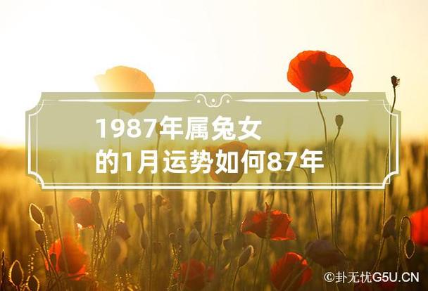 87年属兔女适合做什么行业