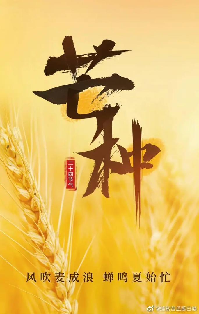 2023芒种的美好寓意