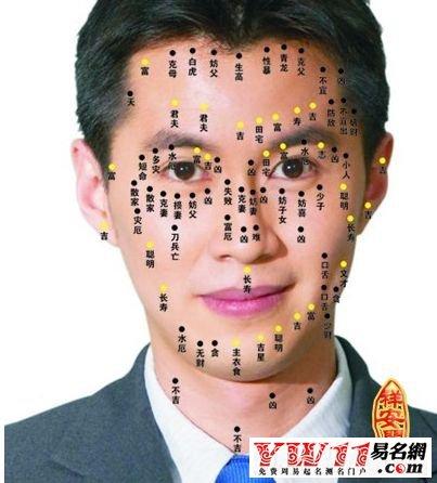 男人命好不好看面相哪里
