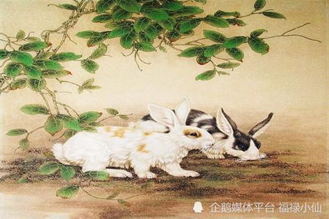 2022年生肖兔的爱情会如何
