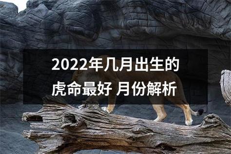 2022年几月出生的虎命最好