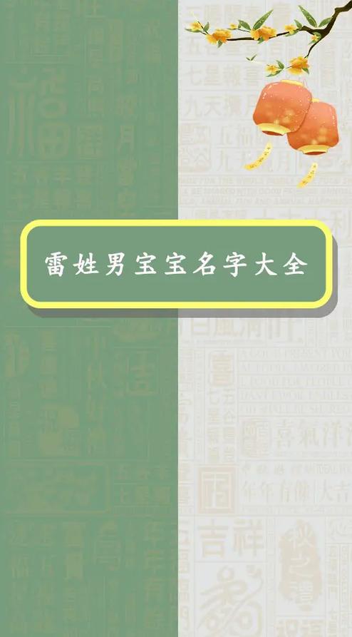 雷姓男孩起名,雷姓男孩名字大全