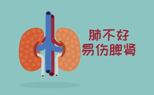 梦见肺梦见肾好吗,梦见肺与肾代表了什么?