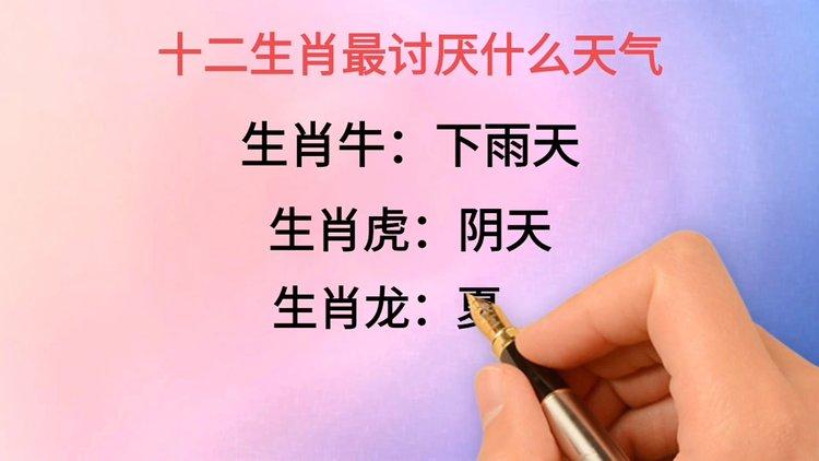 十二生肖哪点最让人讨厌