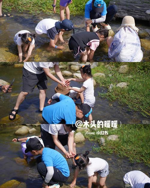 梦见抓泥鳅什么意思