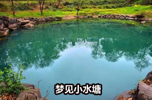 梦见水洼、小水塘是什么意思