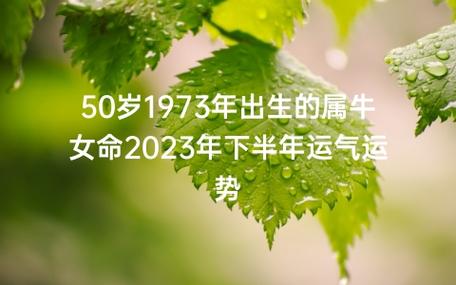 1973属牛女命坎坷为什么