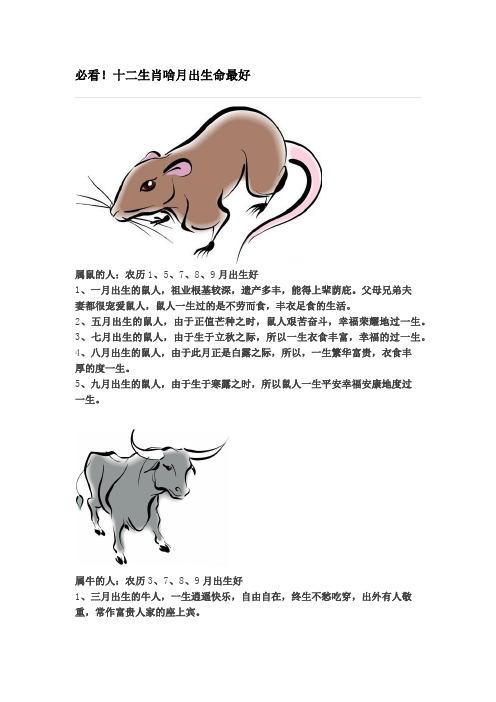 关于属相鼠的人生三大规划