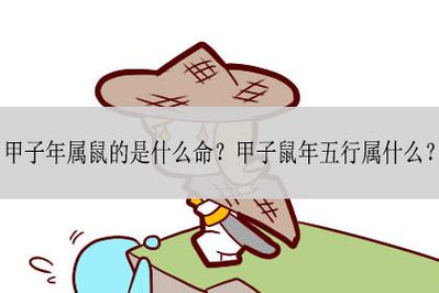 甲子年出生的鼠是什么命,甲子年是什么意思?