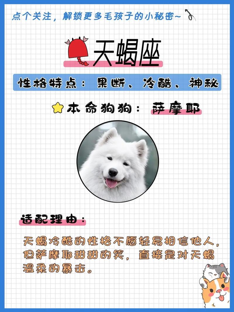 十二星座最适合养什么的狗