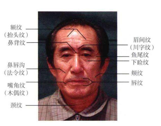 为什么最忌讳嘴角有纹路入口,锁口纹饿死人是真的吗