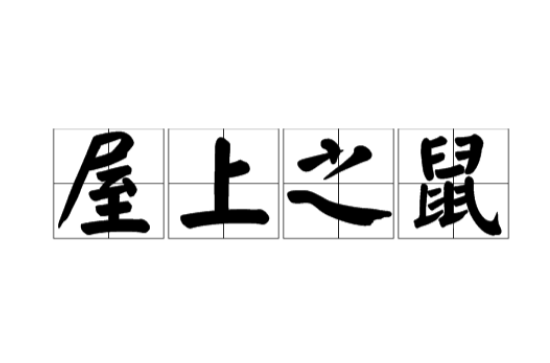 屋上之鼠 屋上之鼠什么意思