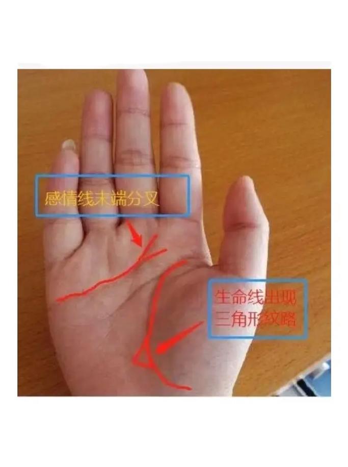 手相看你的事业发展