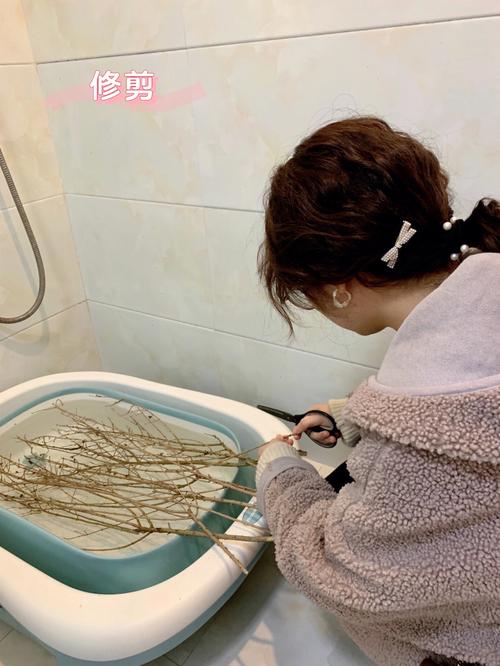 梦见一捆柴