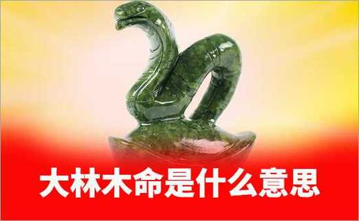 大林木是最强的木命吗