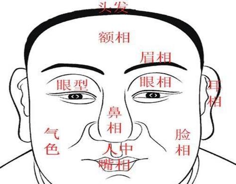 什么面相的人能一夜暴富