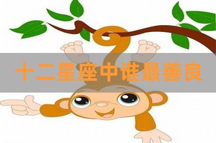 虽长得难看,但内在善良的星座,人丑心美