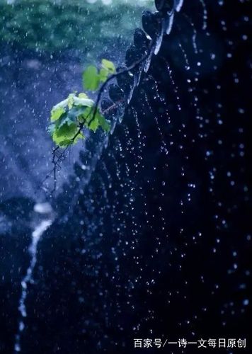 梦见下雨淋雨