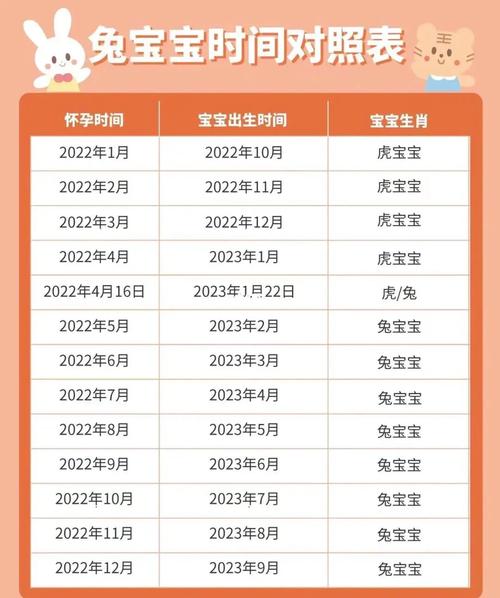 2023年2月17日出生的宝宝属什么