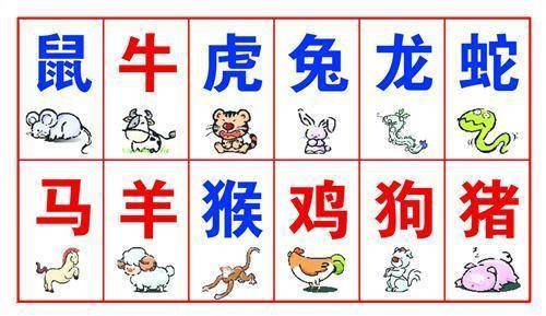 2019年属什么属相