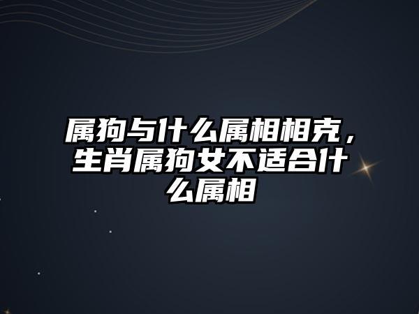 生肖狗女为了吸引女客户会怎么做