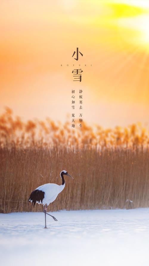 今年小雪是几号?小雪节气有什么自然现象?