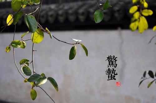 2021年惊蛰当天结婚好吗