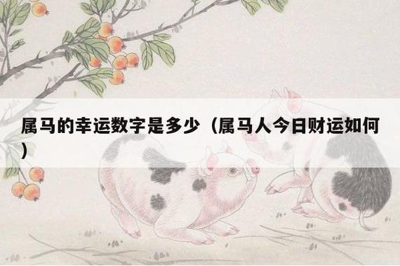 2021年生肖马幸运数字