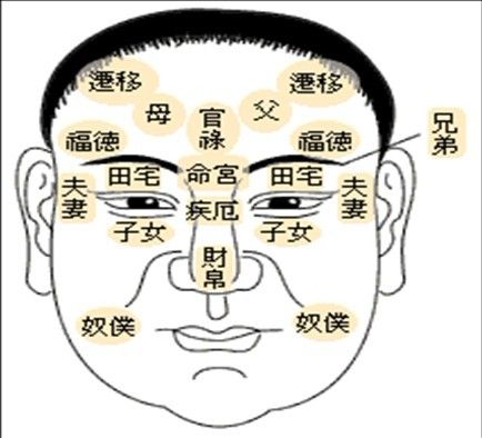 真正阴德纹面相图片详细介绍