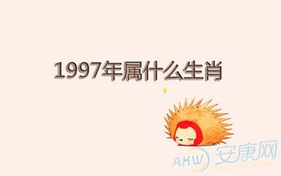 一九八六年属什么生肖,1997年属什么生肖多大