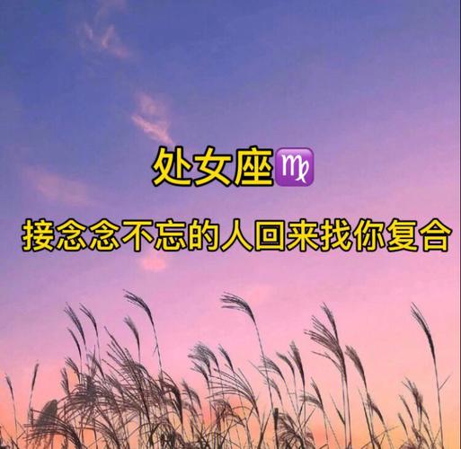 处座男会不会找你复合