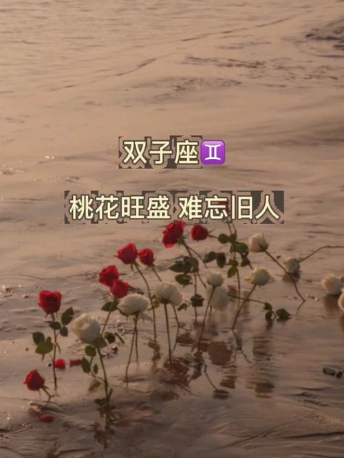 双子座喜不喜欢桃花